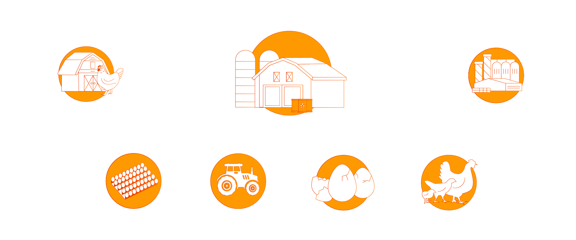 Disponiamo di un sistema di allevamento completamente integrato che garantisce la tracciabilità fin dall'origine.