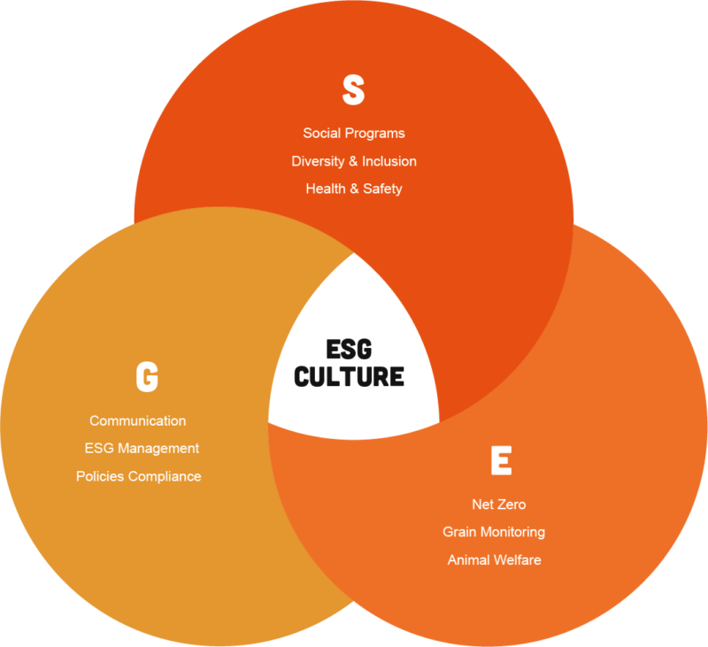 EN ESG Culture Multilingual Graph English